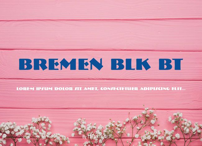Bremen Blk BT example
